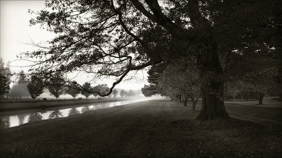 Photographer Tracy Ponich. Mist, Retford Park. Giclée print on handmade Japanese paper (Washi).